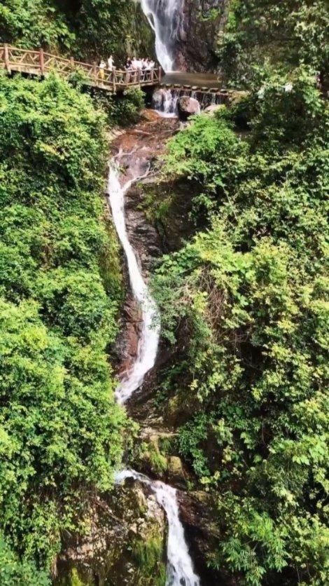 分享成长故事、规划美好未来！苏州市相城区望亭镇果园社区召开大学生职业规划沙龙