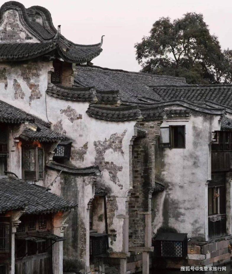 可爱的小孔雀救援